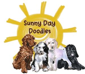 Sunny Day Doodle Logo